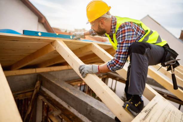 Best Roof Gutter Cleaning  in Honaker, VA